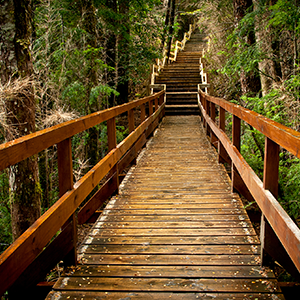 excursion safari azul